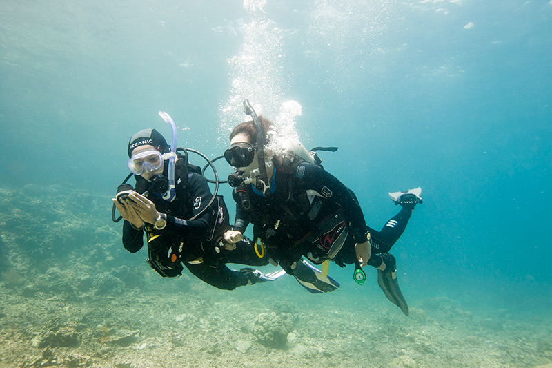 Curso Aguas Abiertas Avanzado